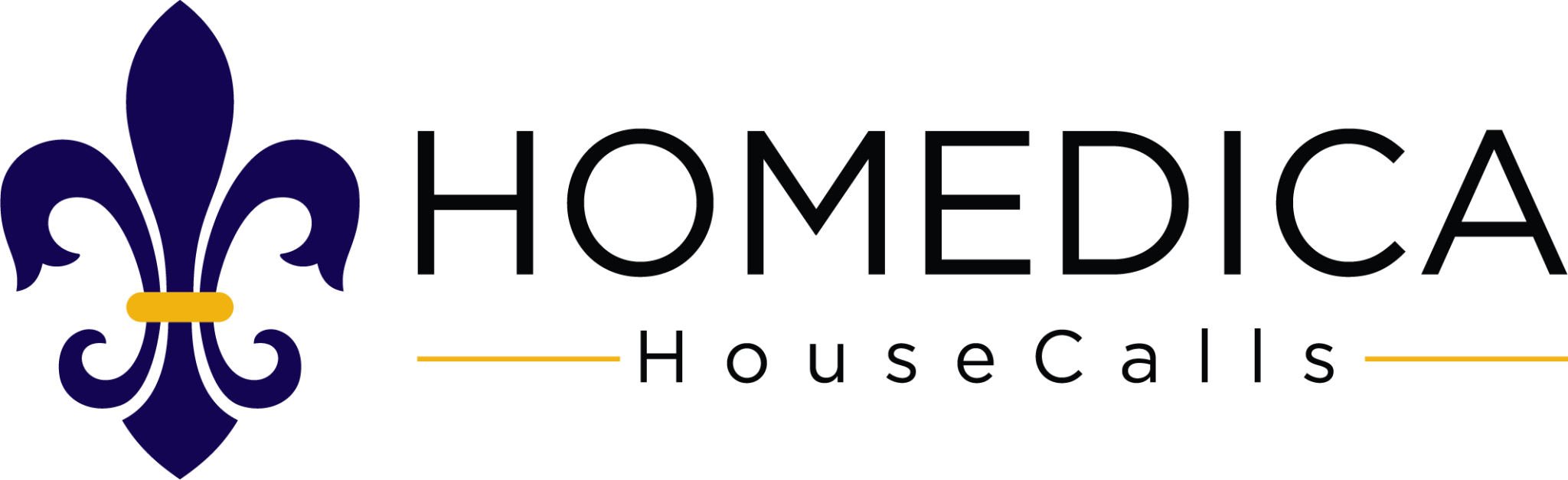 Homedica Logo 2025 Horizontal Color
