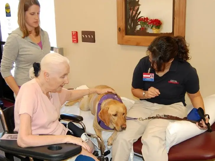 Animal-Assisted Therapy & Neurological Conditions